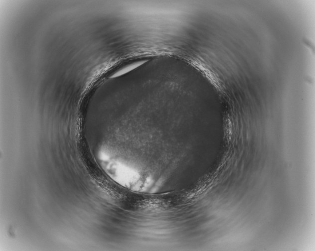 X0000094960736200712201200