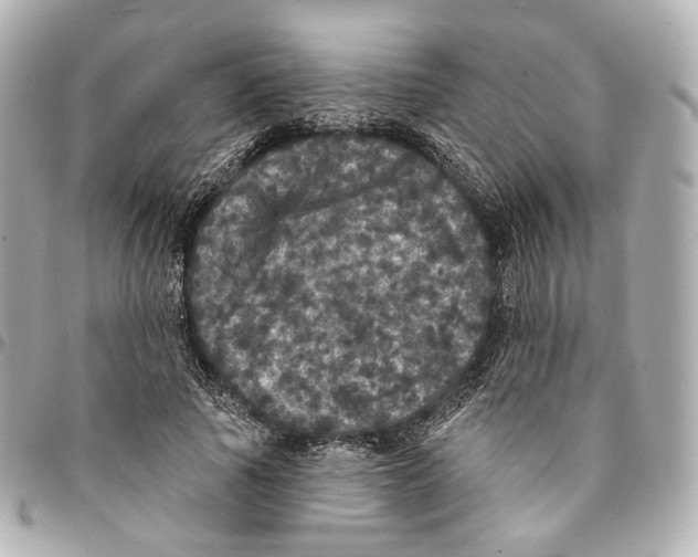 X0000094960737200712201200