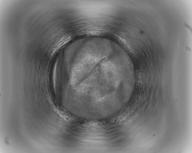 X0000094960738200712201200