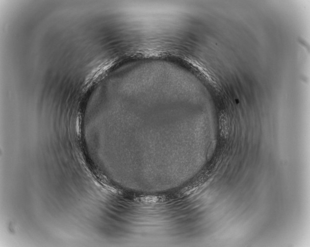 X0000094960740200712201200