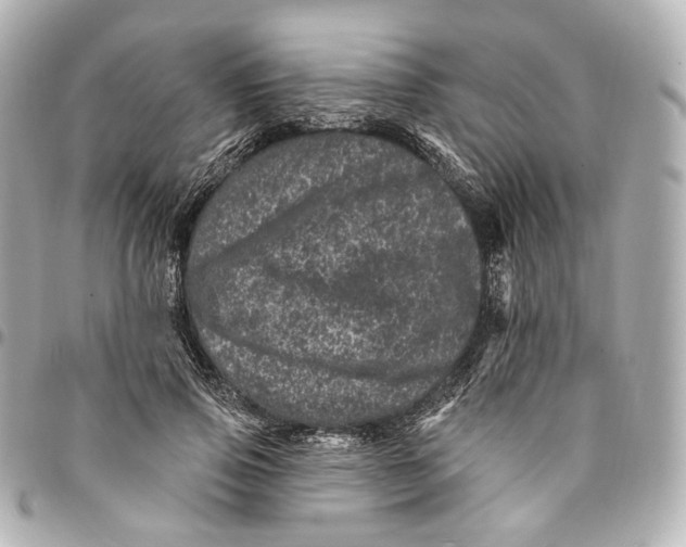 X0000094960741200712201200