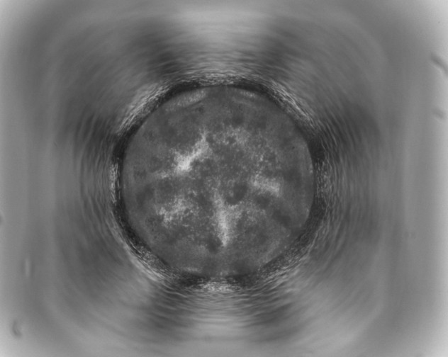 X0000094960742200712201200