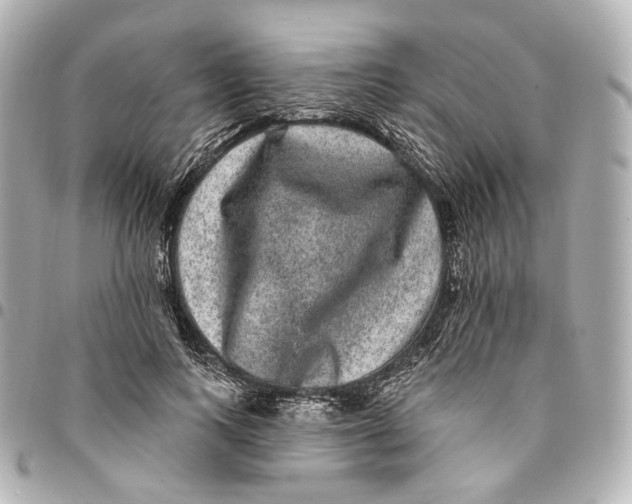 X0000094960743200712201200