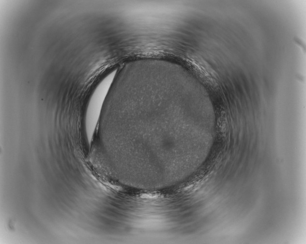 X0000094960744200712201200