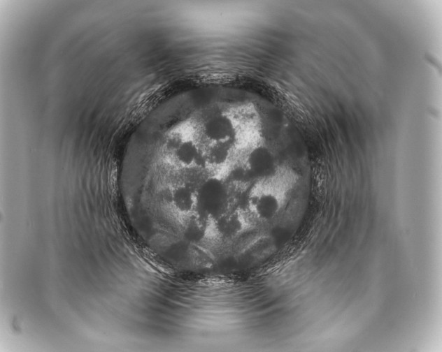 X0000094960745200712201200