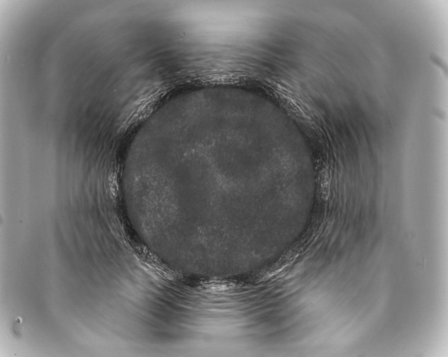 X0000094960746200712201200