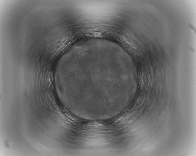 X0000094960747200712201200