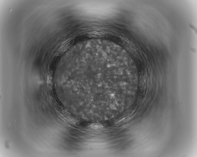 X0000094960749200712201200