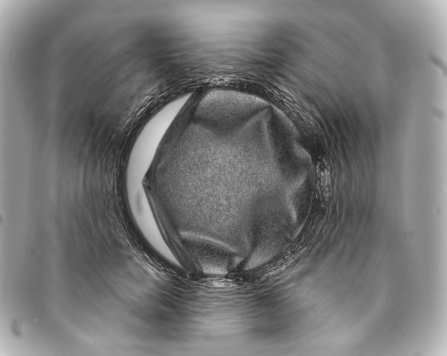 X0000094960750200712201200