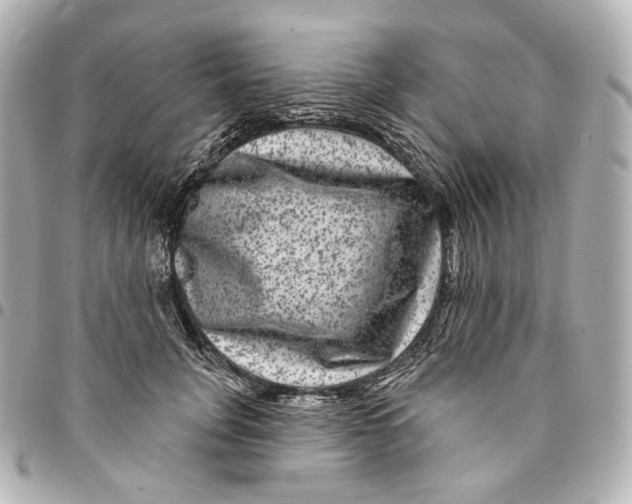 X0000094960751200712201200