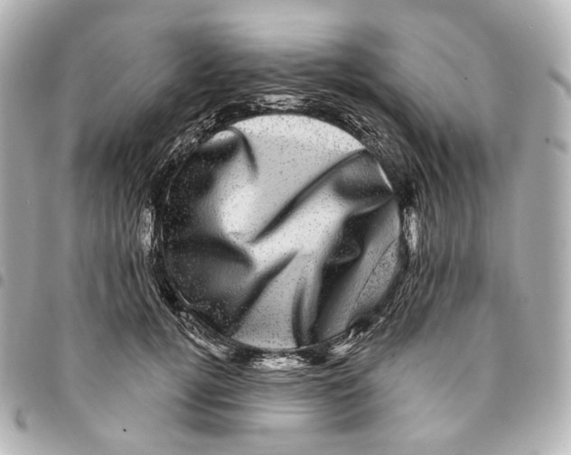 X0000094960752200712201200