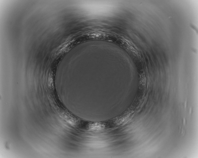 X0000094960754200712201200