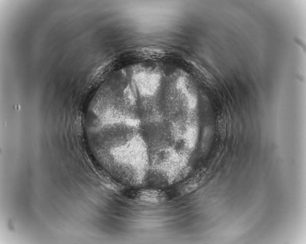 X0000094960757200712201200