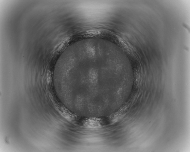 X0000094960758200712201200