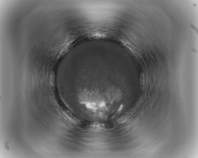 X0000094960760200712201200