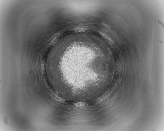 X0000094960761200712201200