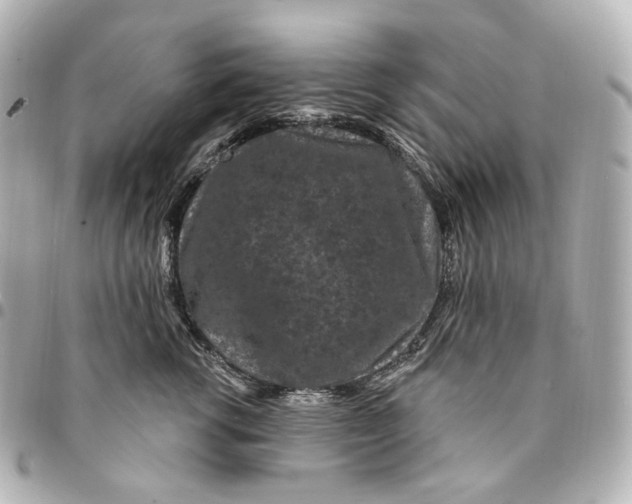 X0000094960762200712201200