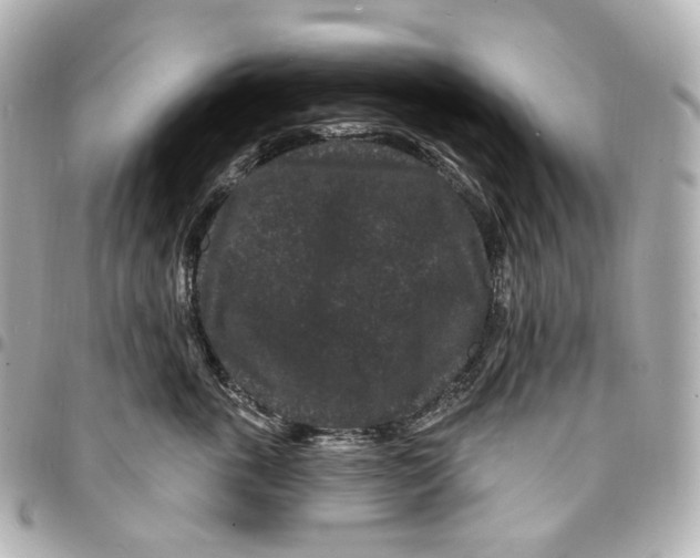 X0000094960763200712201200