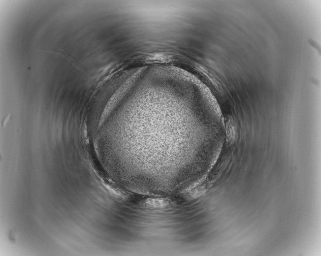 X0000094960764200712201200