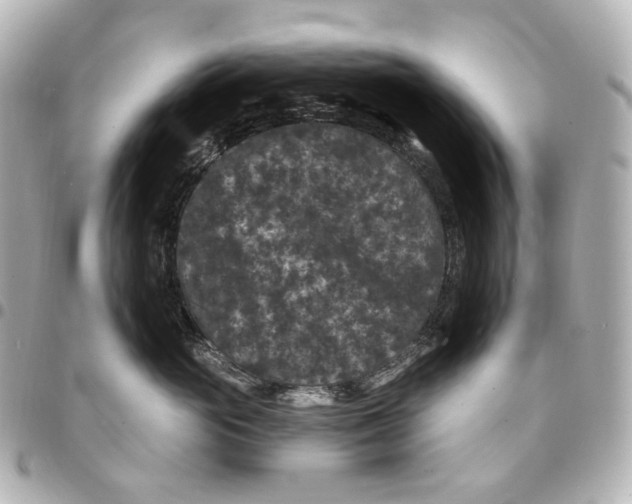 X0000094960765200712201200