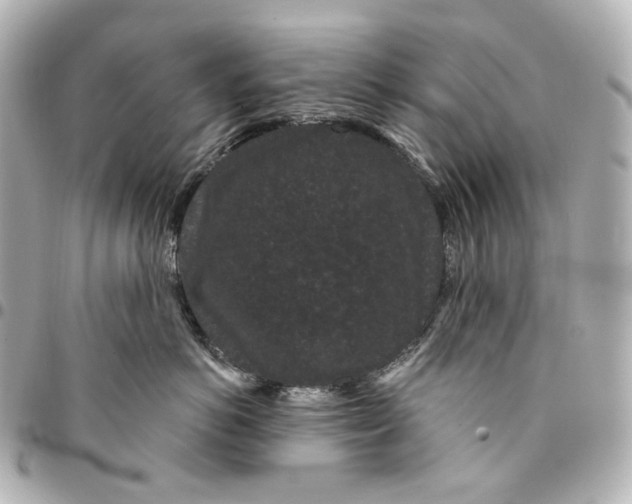 X0000094960766200712201200