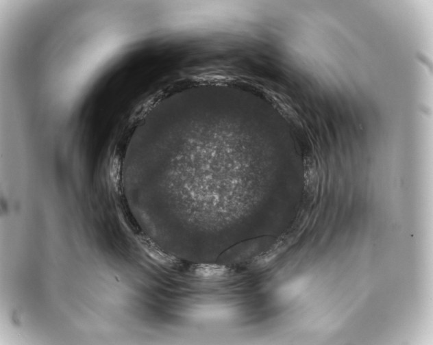 X0000094960767200712201200