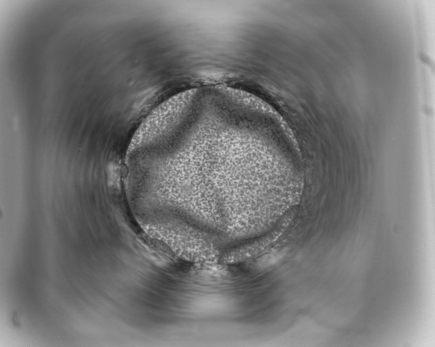 X0000094960768200712201200