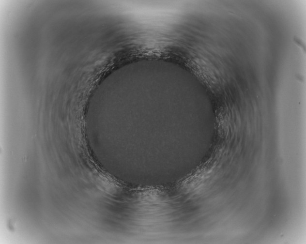 X0000094960769200712201200