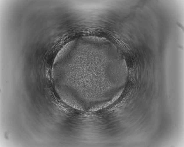 X0000094960770200712201200