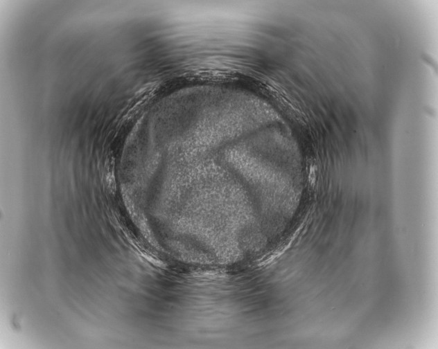 X0000094960771200712201200