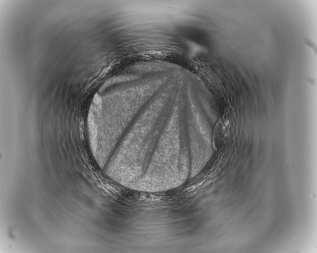 X0000094960772200712201200