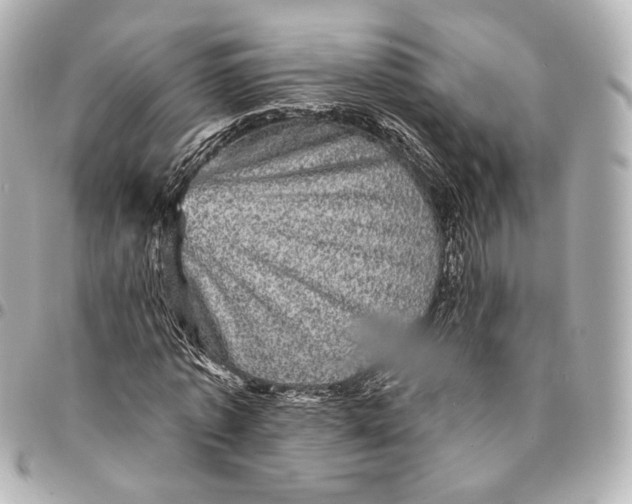 X0000094960773200712201200