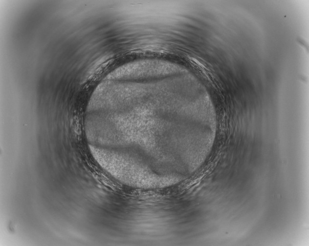 X0000094960774200712201200