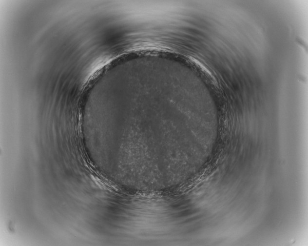 X0000094960775200712201200