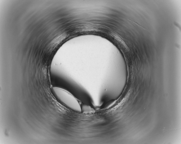 X0000094960777200712201159