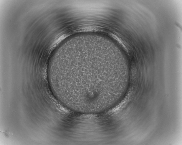 X0000094960778200712201159