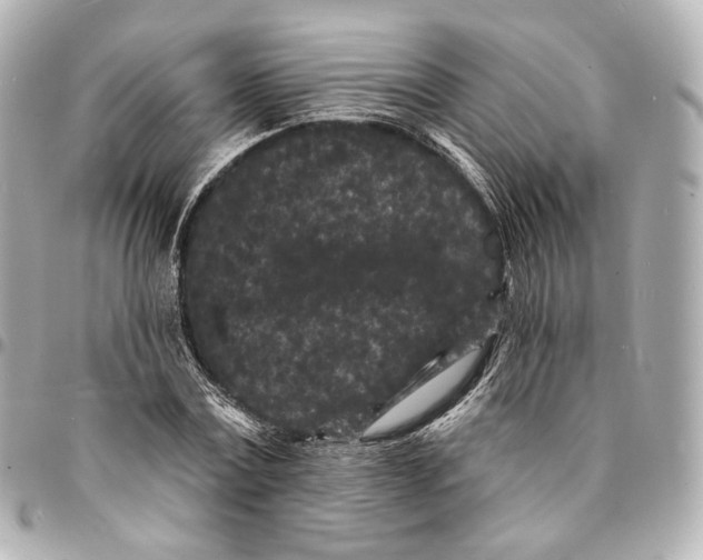 X0000094960779200712201159