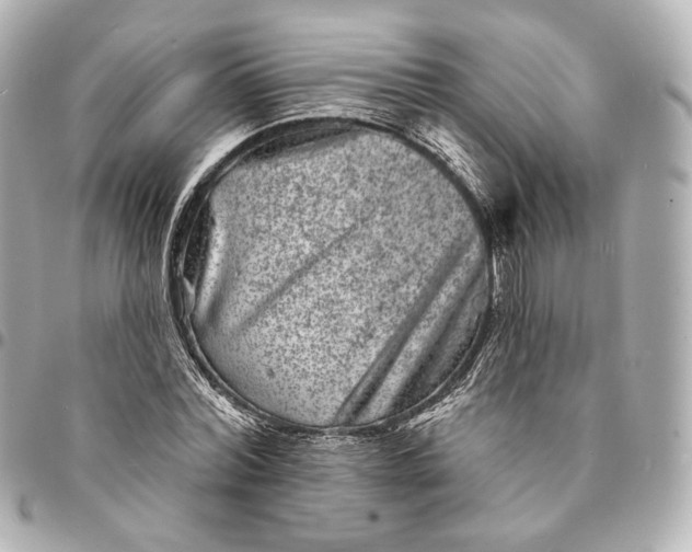 X0000094960780200712201159