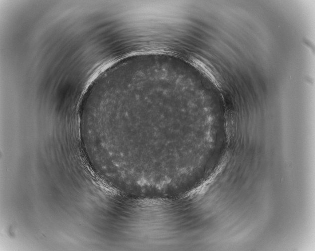 X0000094960781200712201159