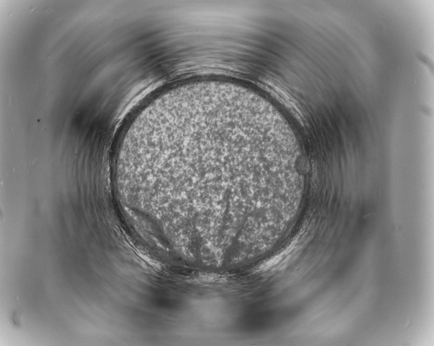 X0000094960782200712201159