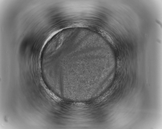 X0000094960784200712201159