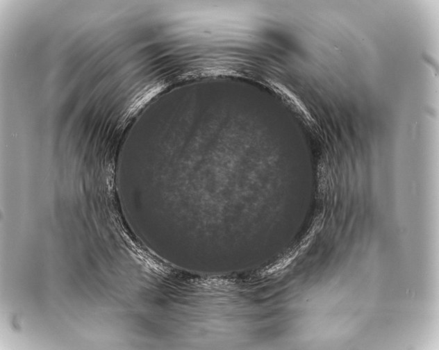 X0000094960785200712201159