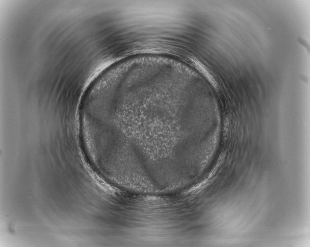 X0000094960787200712201159