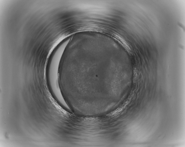 X0000094960788200712201159