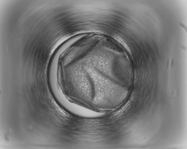 X0000094960789200712201159