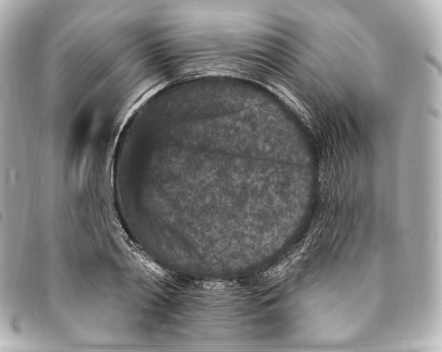 X0000094960790200712201159