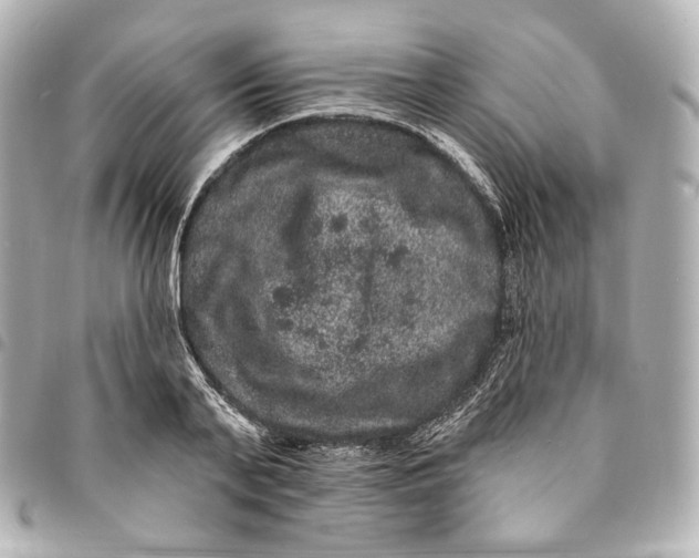 X0000094960791200712201159