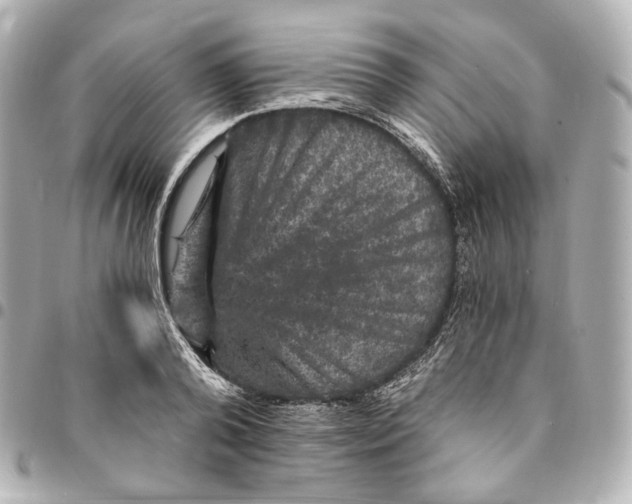 X0000094960792200712201159