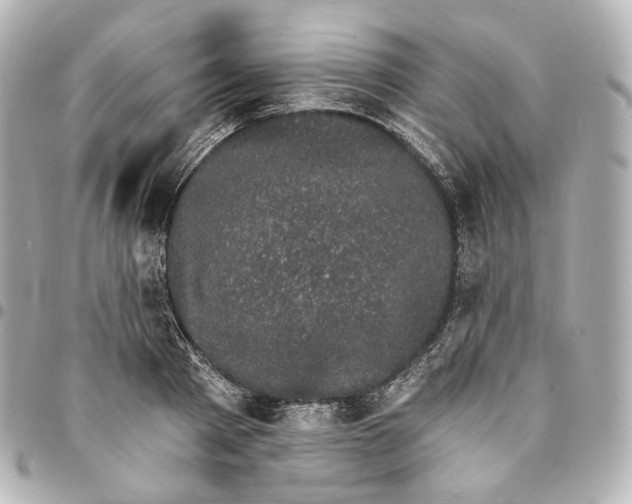 X0000094960793200712201159