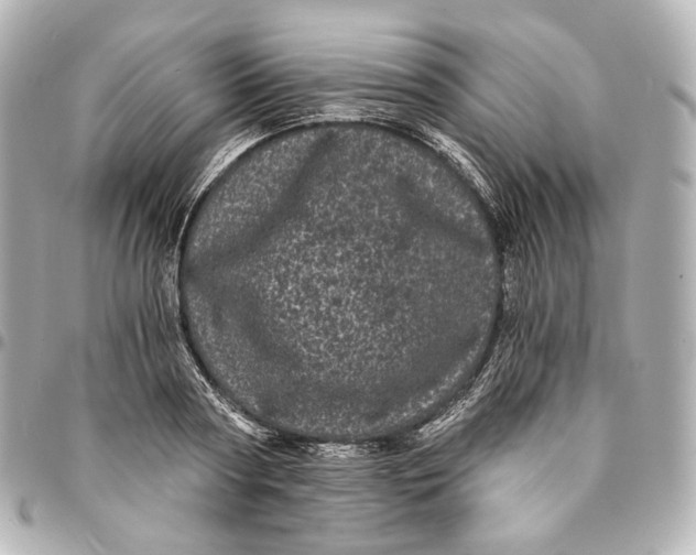 X0000094960794200712201159